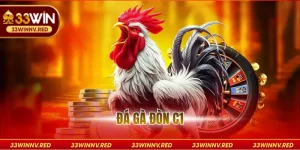 Đá gà đòn C1