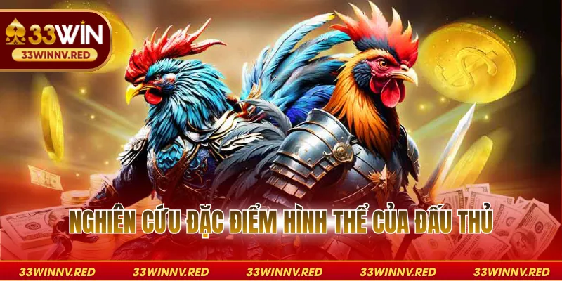 Nghiên cứu đặc điểm hình thể của đấu thủ