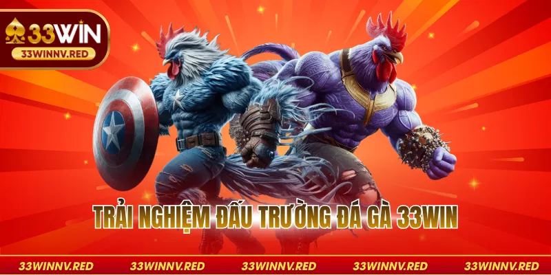 Trải nghiệm đấu trường đá gà 33WIN